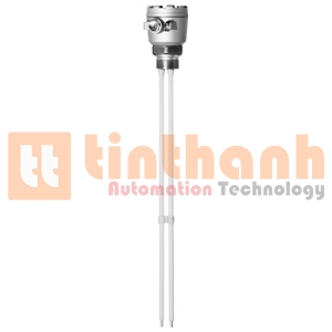 Double rod probe 11362Z - Thiết bị đo mức loại dẫn điện Endress+Hauser