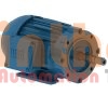 00118ET3E143JP-W22 - Động cơ bơm (Pump Motor) WEG