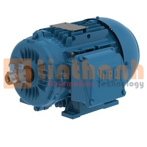00118ET3EAL90S-W22 - Động cơ điện DC (Electric Motor) WEG