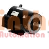 00218OT3E145JMV-S - Động cơ bơm (Pump Motor) WEG