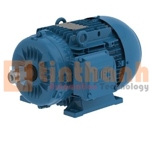 00436ET3YAL112M-W22 - Động cơ điện DC (Electric Motor) WEG