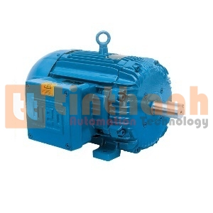 00712XT3E254T - Động cơ điện AC (Electric Motor) WEG