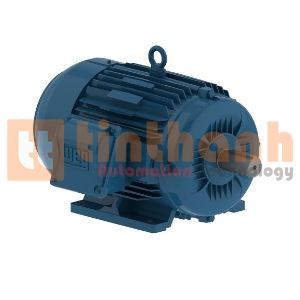 00718ET3E213T-W22 - Động cơ điện AC (Electric Motor) WEG