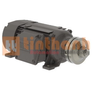 00736ES3HSA80LL - Động cơ điện AC (Electric Motor) WEG