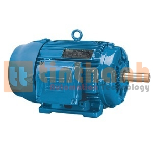 01509ES3EOW324T-W22 - Động cơ bơm (Pump Motor) WEG