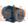 02518ET3E284JM-W22 - Động cơ bơm (Pump Motor) WEG