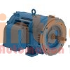 02518OT3E284JM-W40 - Động cơ bơm (Pump Motor) WEG