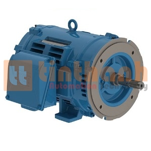 02518OT3E284JM-W40 - Động cơ bơm (Pump Motor) WEG