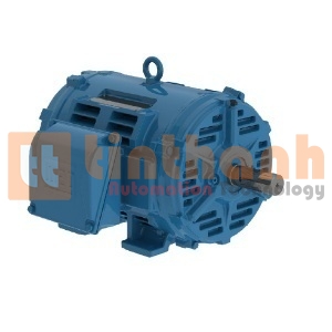 02518OT3E284T-W40 - Động cơ điện AC (Electric Motor) WEG