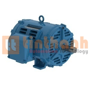 03018OT3E286T-W40 - Động cơ điện AC (Electric Motor) WEG