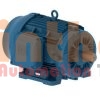 03036ET3E286TS-W22G - Động cơ bơm (Pump Motor) WEG