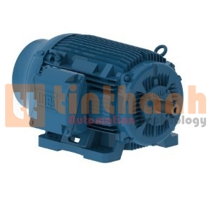 04018ET3ECT324TF1-W2 - Động cơ điện AC (Electric Motor) WEG