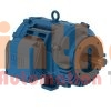 06018OT3E364JM-W40 - Động cơ bơm (Pump Motor) WEG