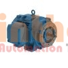 06018OT3G364JM - Động cơ bơm (Pump Motor) WEG