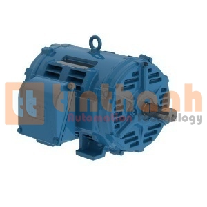 07518OT3E365T-W40 - Động cơ điện AC (Electric Motor) WEG