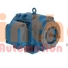 07536OT3E364JM-W40 - Động cơ bơm (Pump Motor) WEG