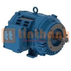 10036OT3E365JM-W40 - Động cơ bơm (Pump Motor) WEG