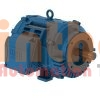 10036OT3E365JP-W40 - Động cơ bơm (Pump Motor) WEG