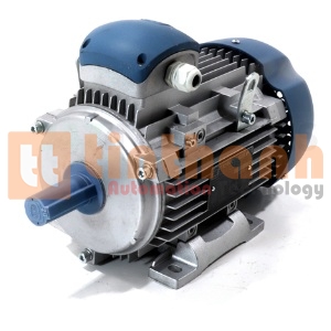 100L-6-B3 - Động cơ điện (Electric Motor) Motive Srl