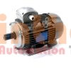 100LB-4-B3 - Động cơ điện (Electric Motor) Motive Srl