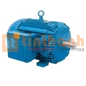 12518XT3E444T - Động cơ điện AC (Electric Motor) WEG