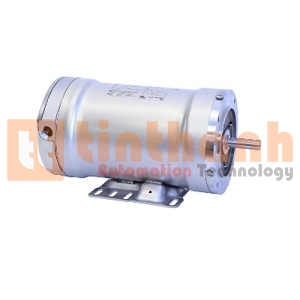 1321087112 - Động cơ điện DC (Electric Motor) WEG