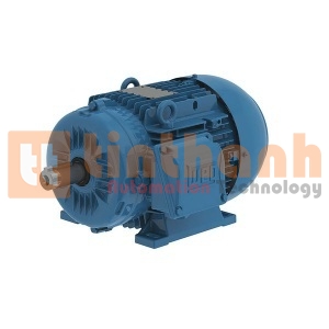 13984008 - Động cơ điện AC (Electric Motor) WEG