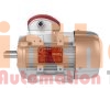 160MA-2-B35 - Động cơ điện (Electric Motor) Motive Srl