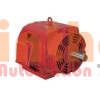 35015OP3OFP5011TS-W4 - Động cơ bơm (Pump Motor) WEG