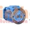 3GAA081313-ASE - Động cơ điện (Electric Motor) ABB