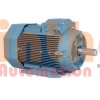 3GVA061002-ASC - Động cơ điện (Electric Motor) ABB