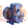 A4C0711A00017 - Động cơ điện (Electric Motor) Marelli Motori