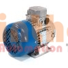 A4C1142A00016 - Động cơ điện (Electric Motor) Marelli Motori