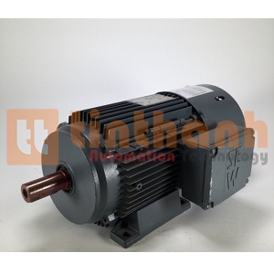 DT100LS4/BMG/HR/TF - Động cơ điện (Electric Motor) SEW