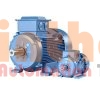M2AA160M-4-B3 - Động cơ điện (Electric Motor) ABB
