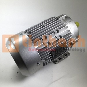 NIN100A4B14 - Động cơ điện (Electric Motor) TransTecno