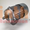 T100LB2B14 - Động cơ điện (Electric Motor) Motovario