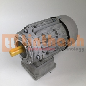 TS6334B14 - Động cơ điện (Electric Motor) TransTecno