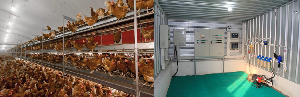 Tủ điều khiển nhiệt độ tự động cho trại gà là gì? Bao gồm những thành phần nào?