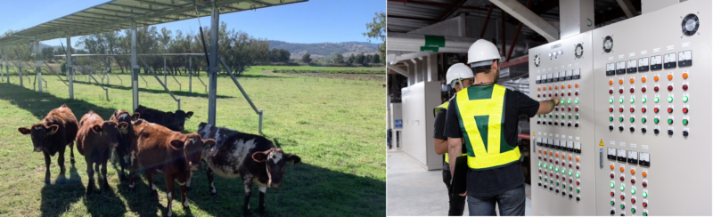 Nhận thi công và lắp đặt tủ điện phân phối và điều khiển cho trại chăn nuôi